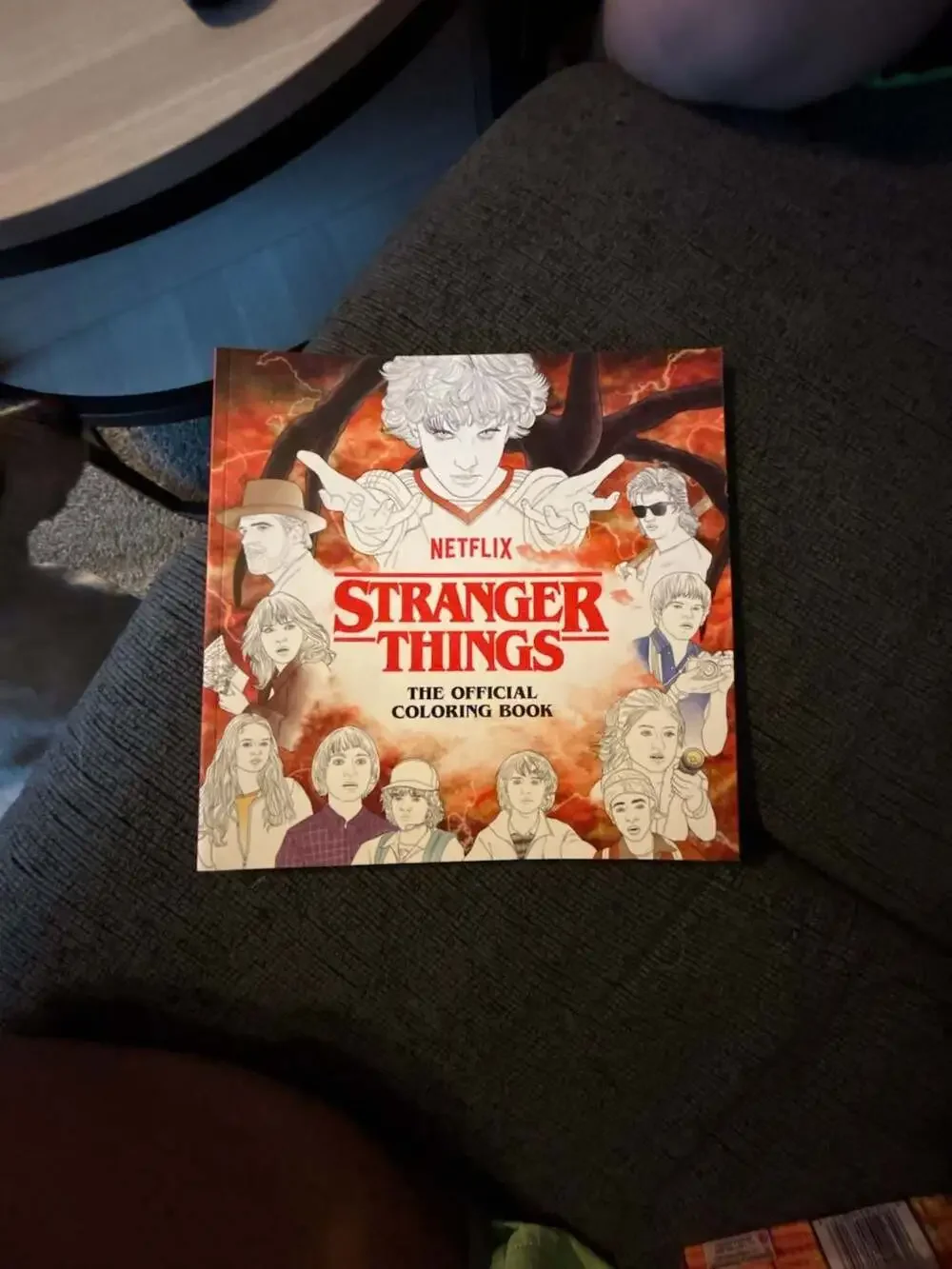 Netflix, the Official Coloring Book, 80 pages, Stranger Things scenes - .com,